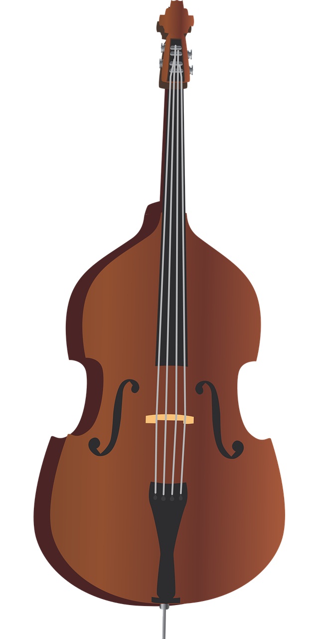Quelle dimension et taille choisir pour un violoncelle ?